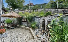 Kryształowy Apartament z pięknym ogrodem w centrum uzdrowiska